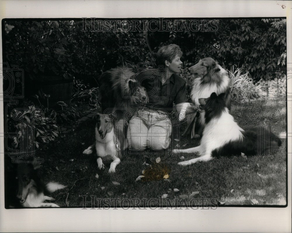 1991 Press Photo Lee Patten Tri-County Collie Rescue Le - Historic Images