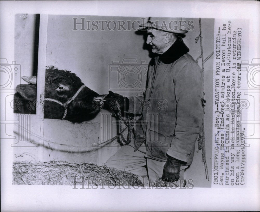 1954 Press Photo Senator Wayne Morse Oregon - Historic Images