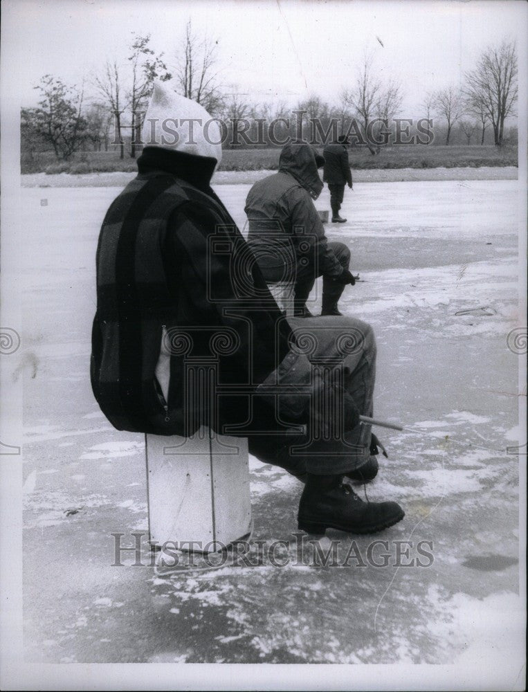 1960 Press Photo Kent Lake Kensington Park Geese Feed - Historic Images