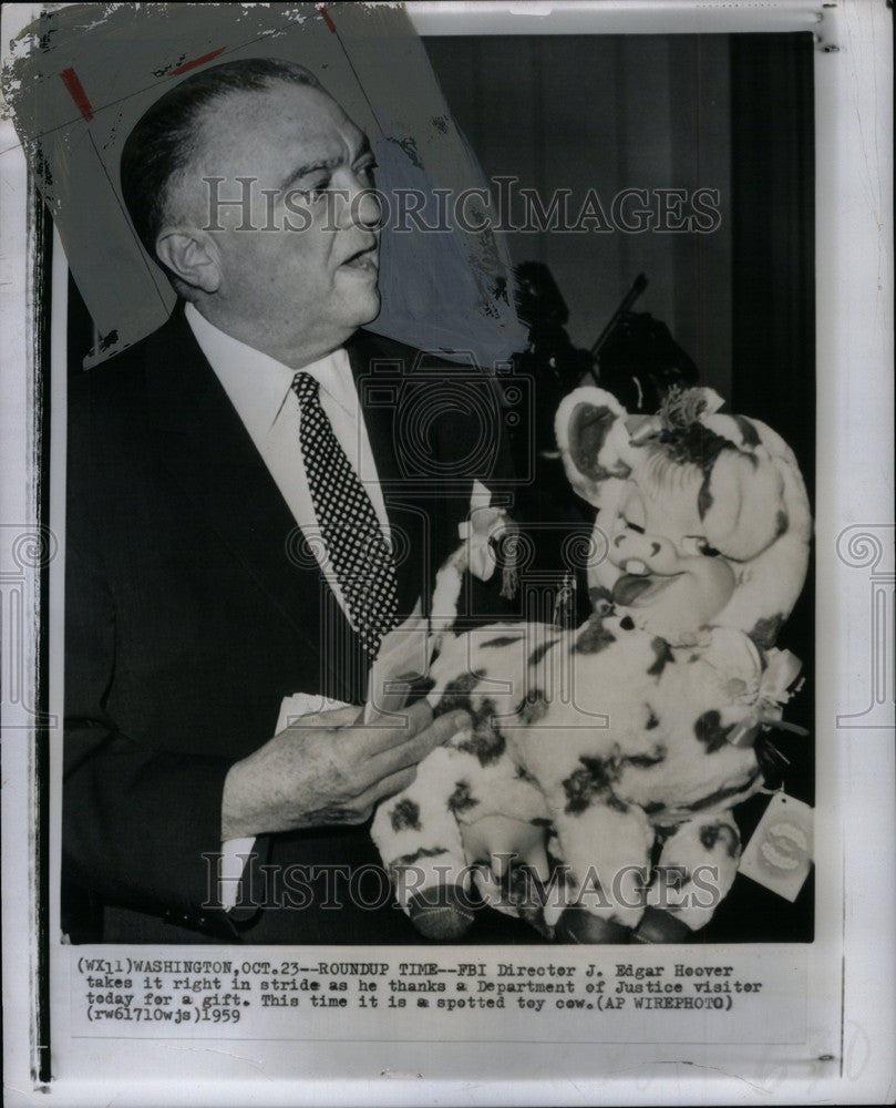 1959 Press Photo FBI Director J. Edgar Hoover Cow Gift - Historic Images