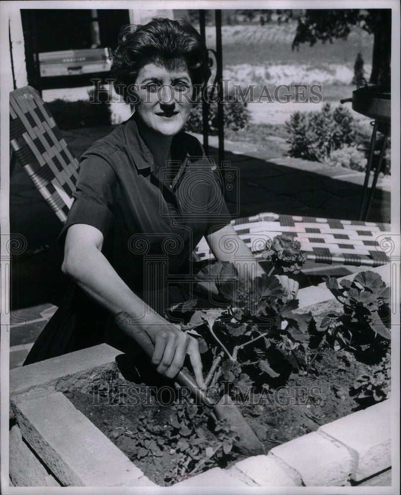 1965 Press Photo Buckeleu kidney transplant Elton - Historic Images