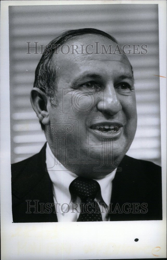 1980 Press Photo Gerston Geitner Troy author divorce - Historic Images