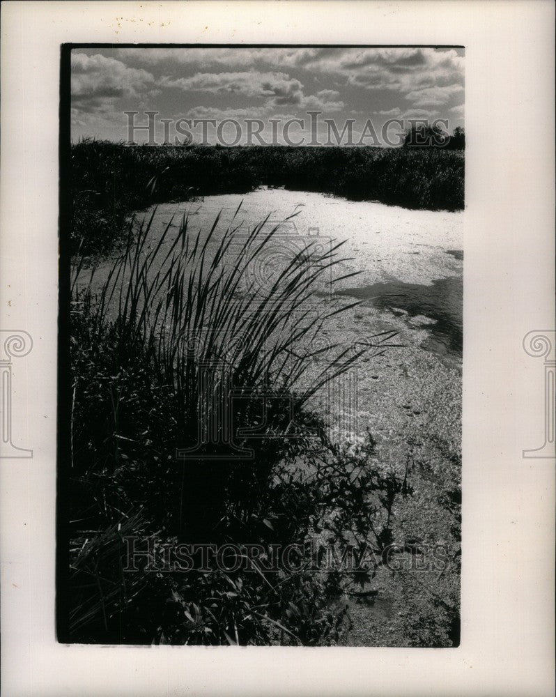 1989 Press Photo Point Pelee National Park in Canada - Historic Images