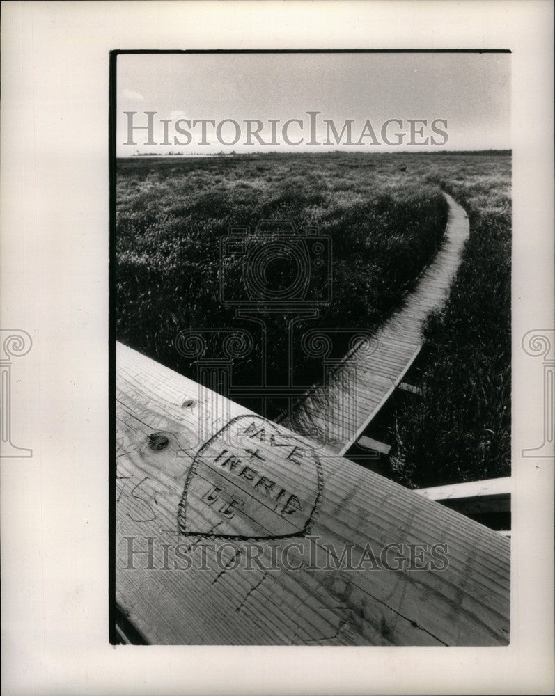1989 Press Photo Initials railing Point Pelee Park - Historic Images