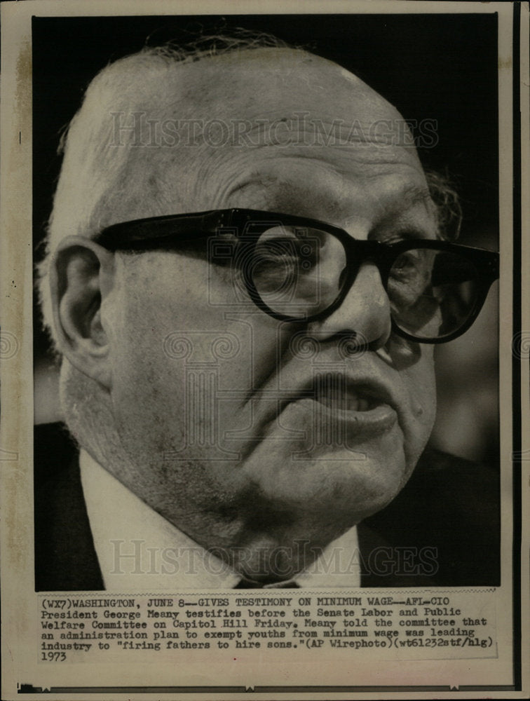 1973 Press Photo CIO President George Meany - Historic Images