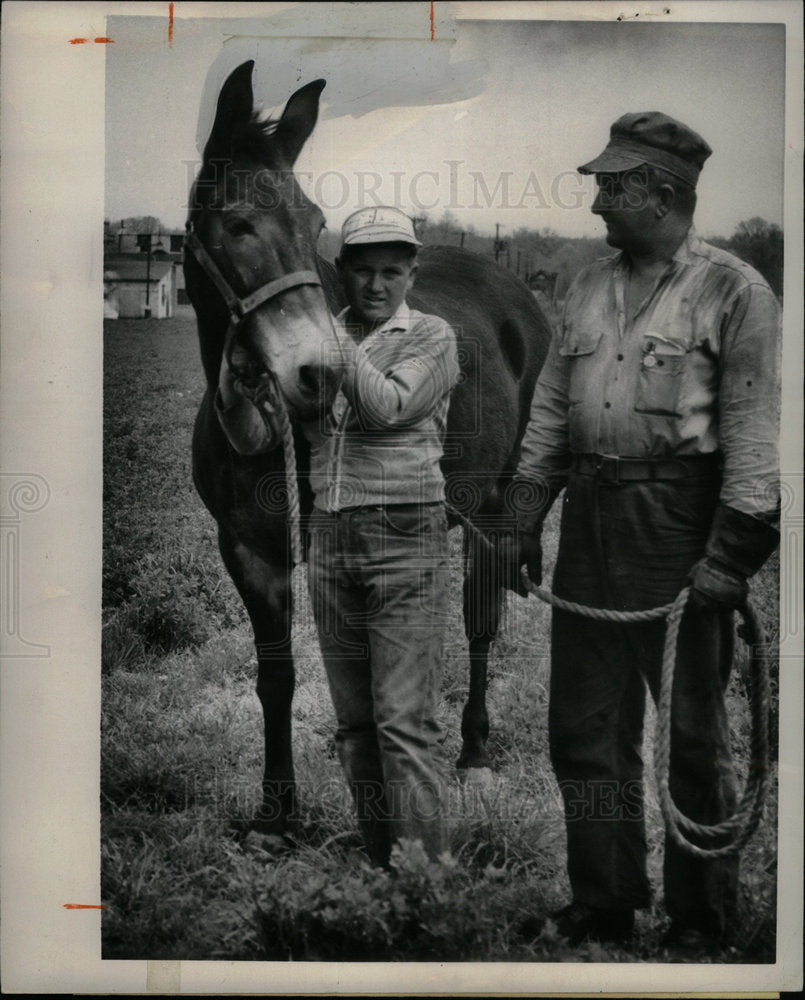 1961 Mule - DFPD61341 - Historic Images