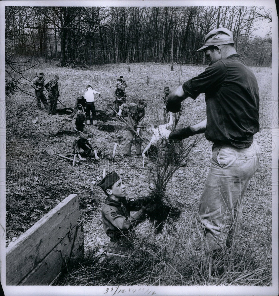 1980 Press Photo plant young trees- Historic Images