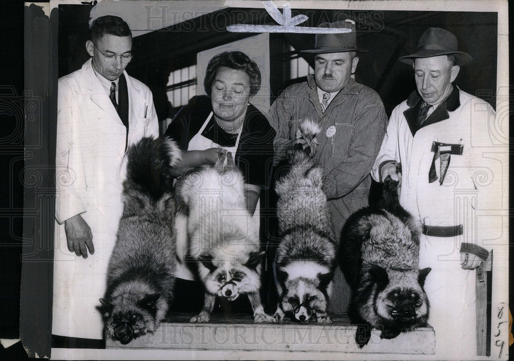 1948 Mink Animal Show-Historic Images