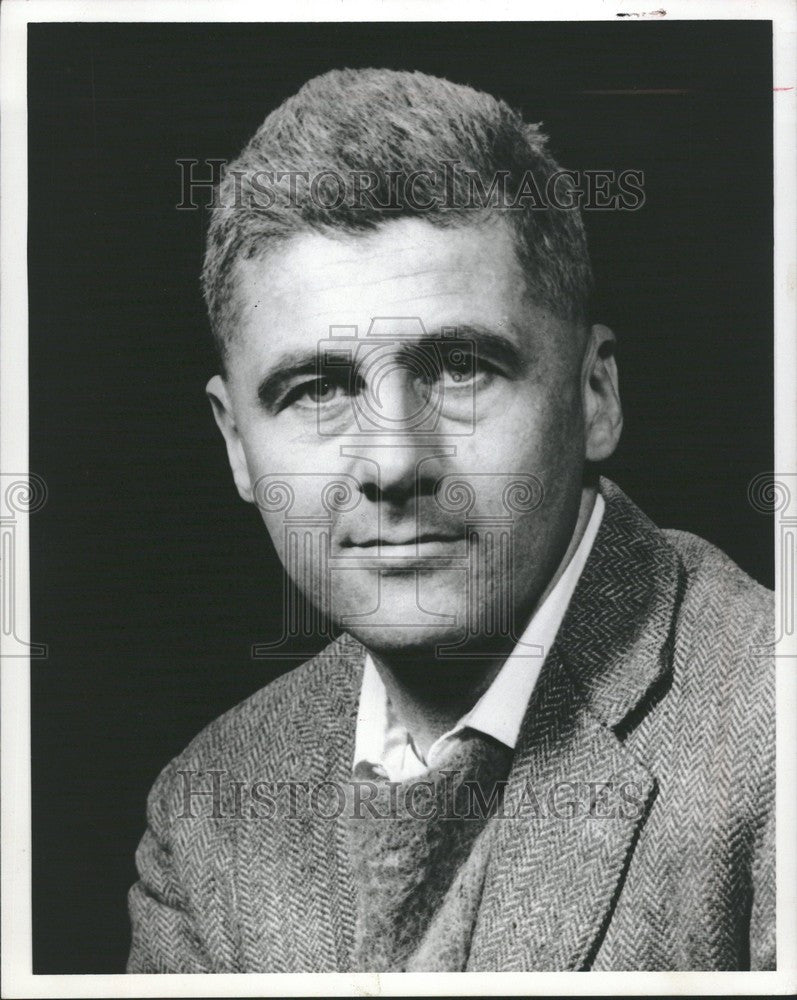 1965 Press Photo Howard Nemerov - Historic Images