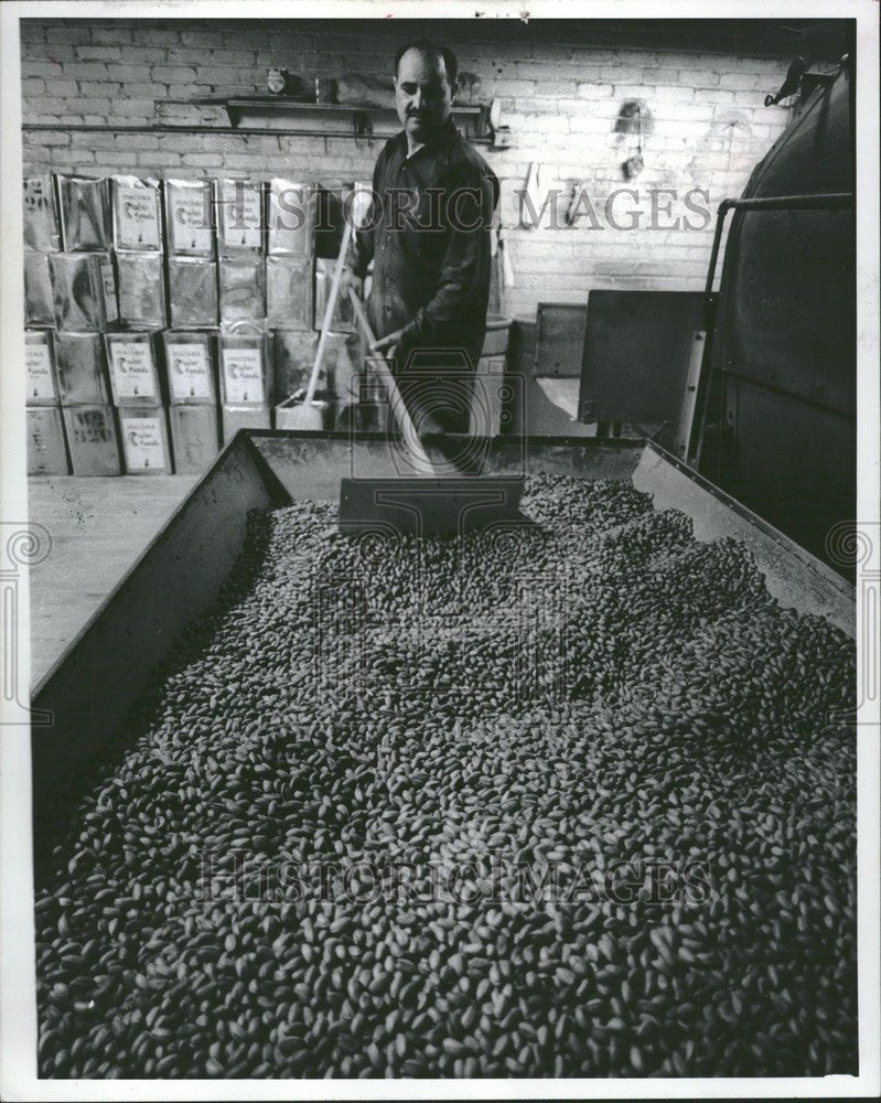 1973 Press Photo pistachio small tree iran - Historic Images