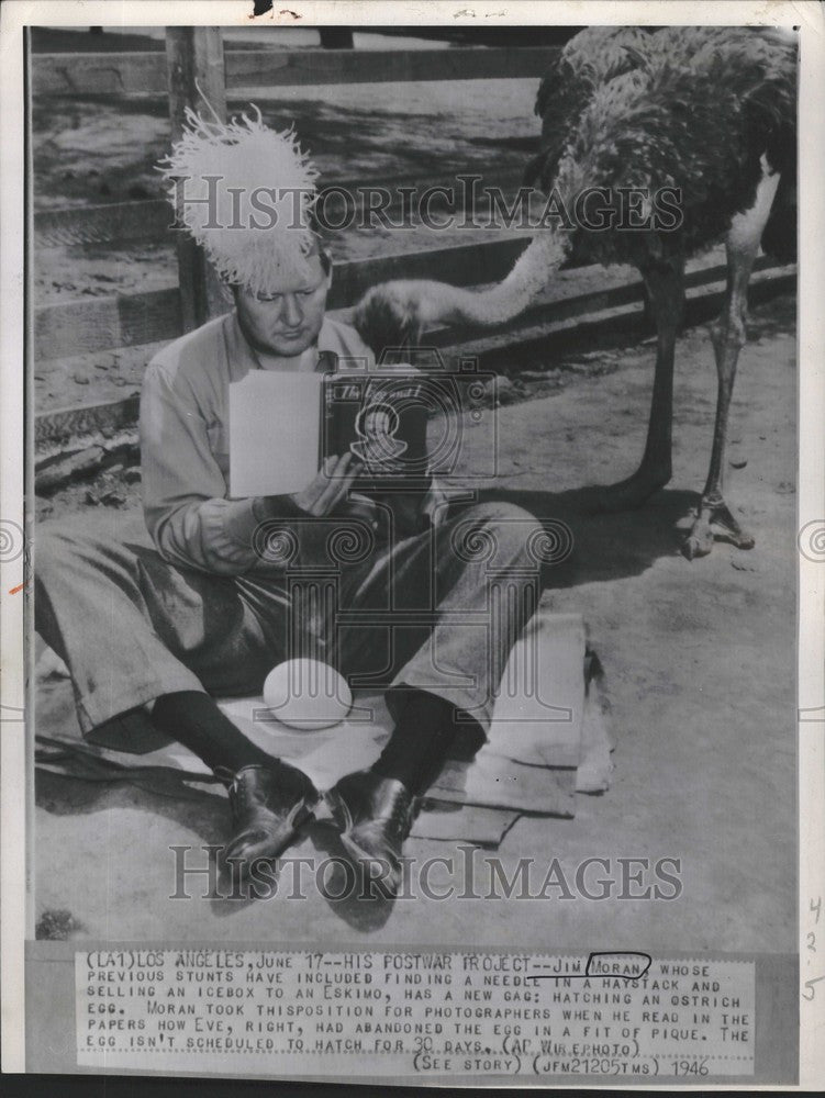 1946 Press Photo jim moran egg hatch ostrich post war - Historic Images