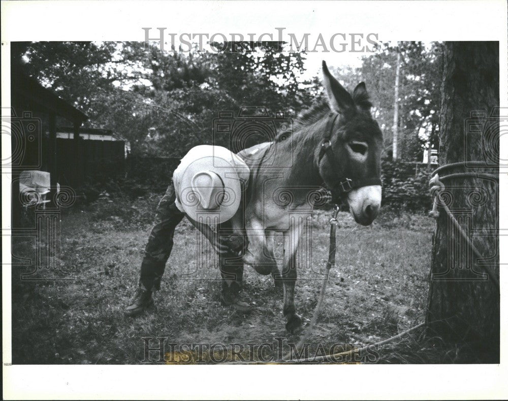 1991 Press Photo Rusty Reeds Michigan - Historic Images