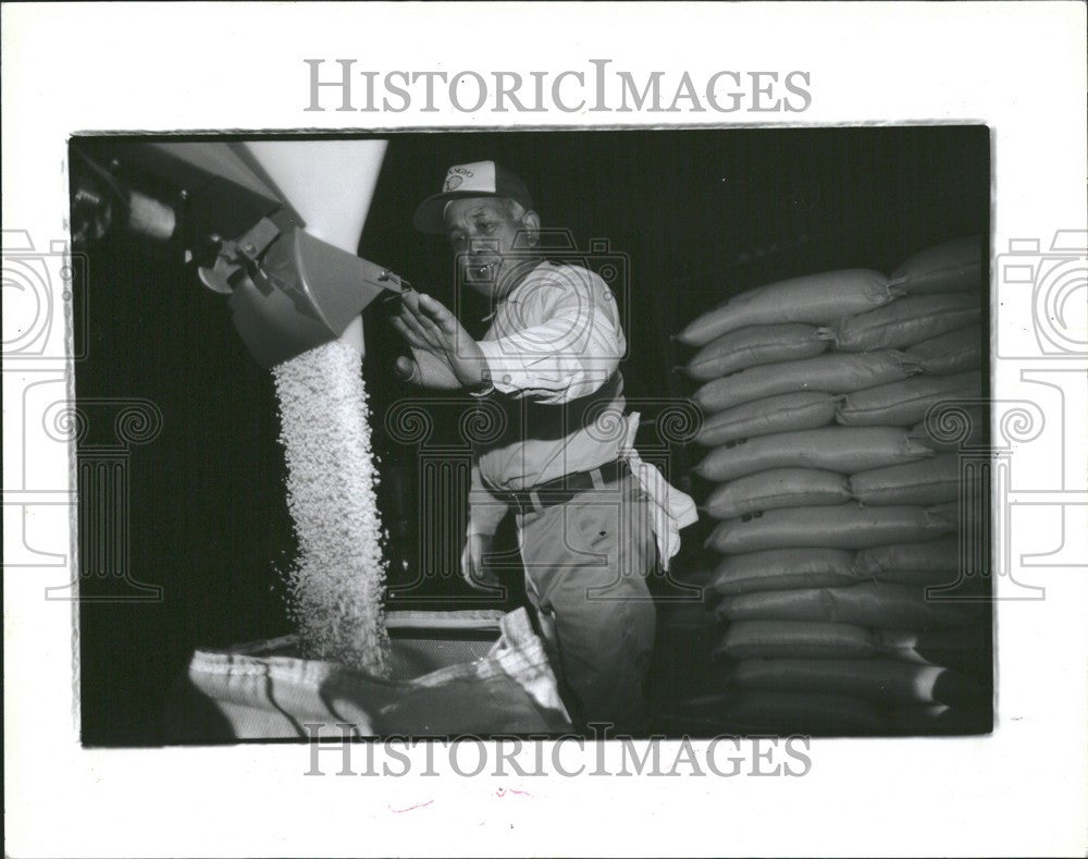 1991 Press Photo Japan Project Seio Hirauka  Yahiko - Historic Images