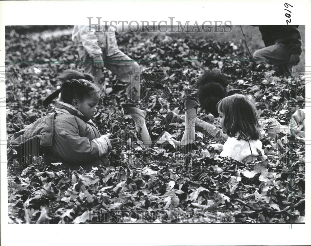 1991 Press Photo children play David Shepherd Park Oak - Historic Images