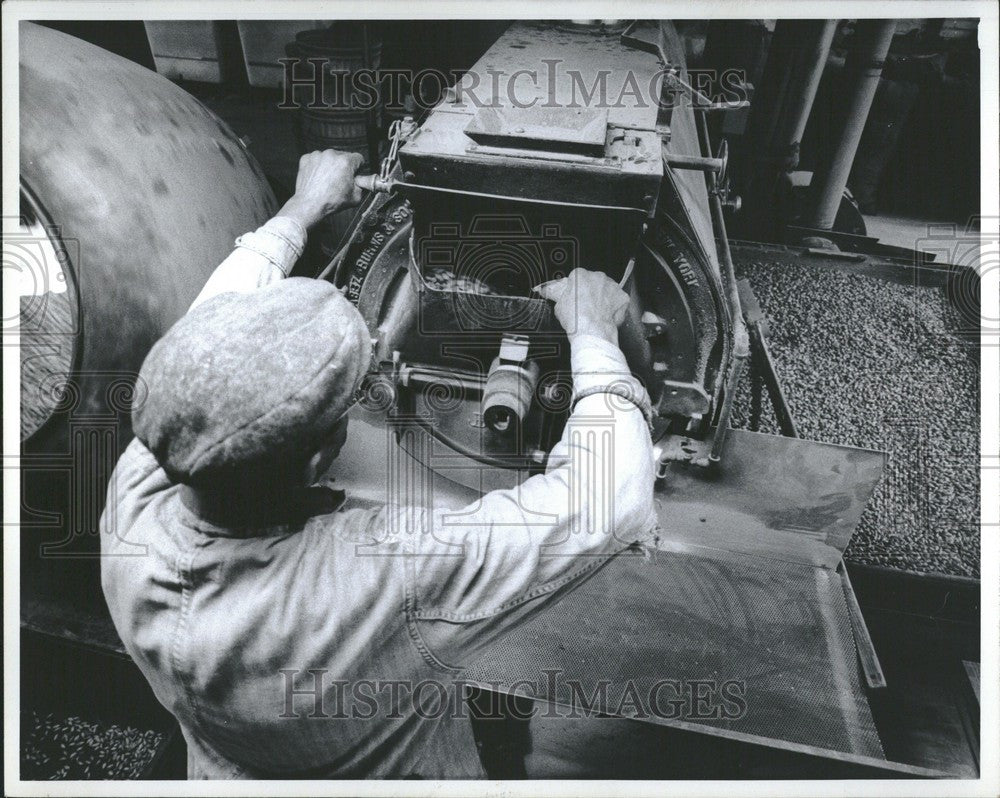 1973 Press Photo pistachio roasting - Historic Images