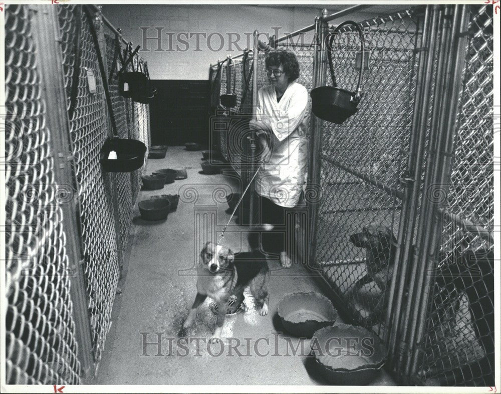 1982 Press Photo Elaine Bowles Oakland Humane Society - Historic Images