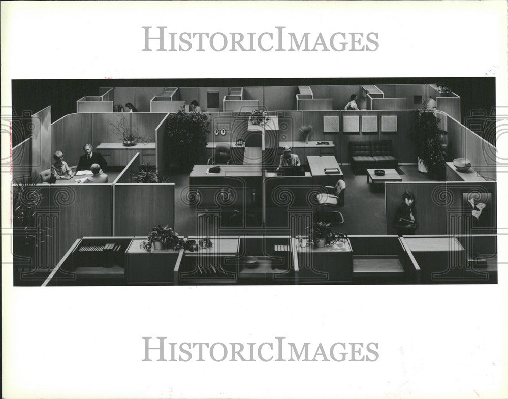 1982 Press Photo workplace privacy tall partitions - Historic Images