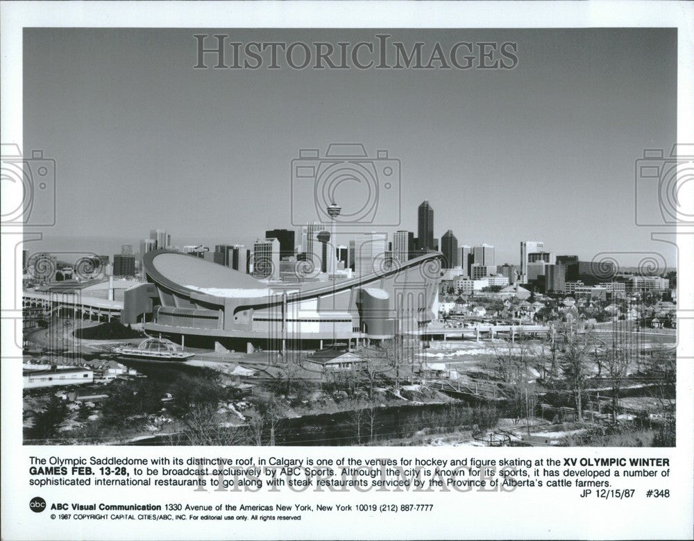 1989 Press Photo XV Olympic Winter Games roof Calgary - Historic Images
