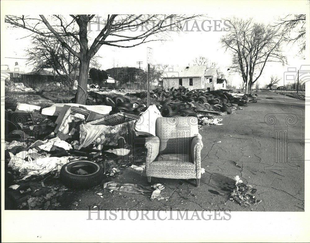 1987 Press Photo Clairepointe junk - Historic Images