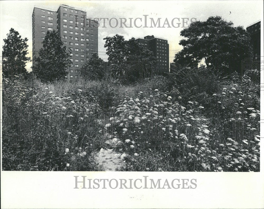 1983 Press Photo Jeffries housing project Lincoln vacan - Historic Images