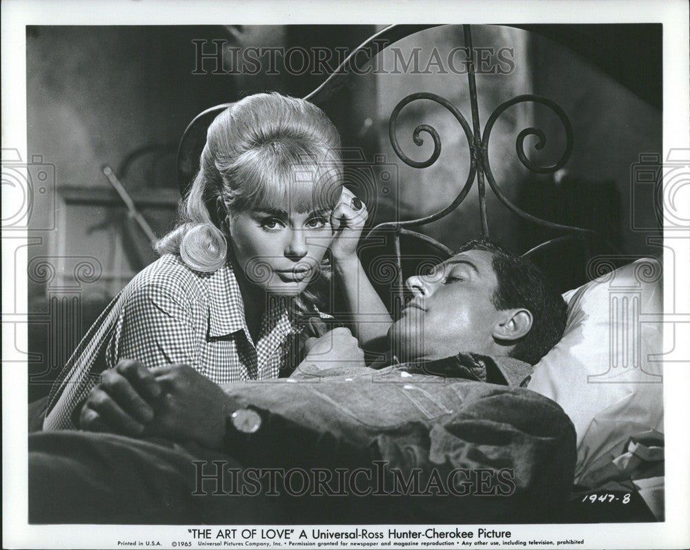 Press Photo dick van dyke elke sommer - Historic Images