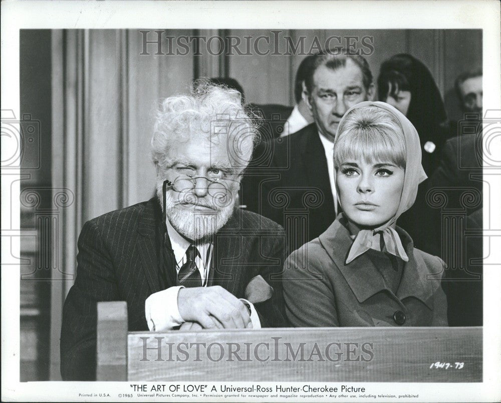 Press Photo Dick Van Dyke Elke Sommer Art of Love - Historic Images