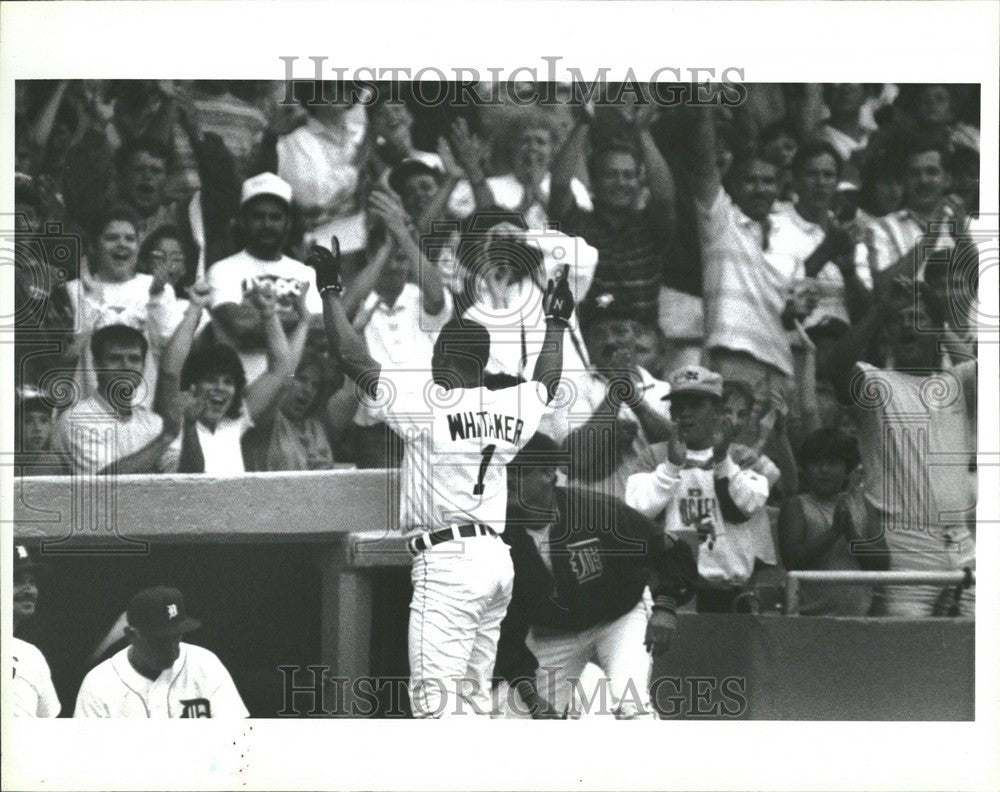 1992 Press Photo Louis Rodman Whitaker baseball - Historic Images