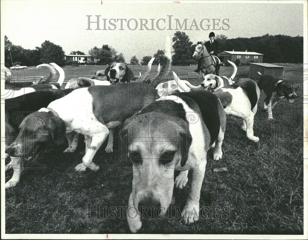 1978 Press Photo Billy Sherd horse - Historic Images