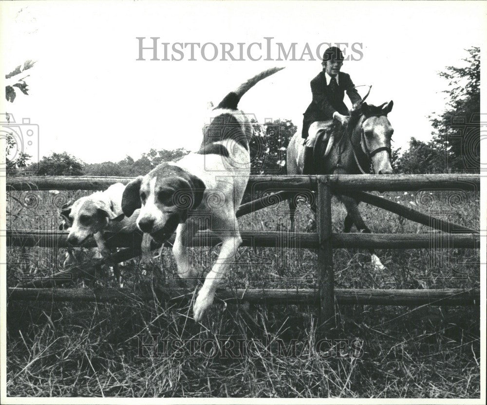 1978 Press Photo Billy Sherd hounds train hunt - Historic Images