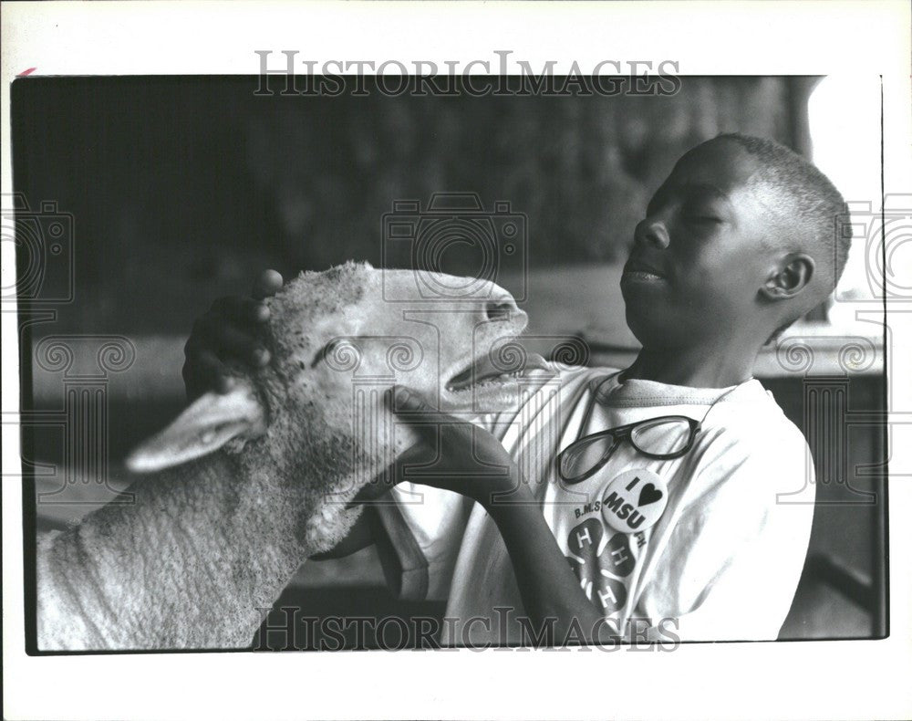 1992 Press Photo 4-H Michigan State Unv Yarnell Sheep - Historic Images