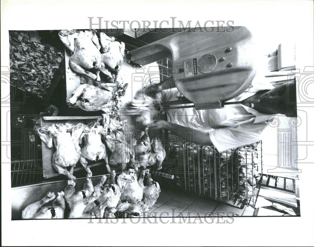 1993 Press Photo Frankenstein Michigan - Historic Images