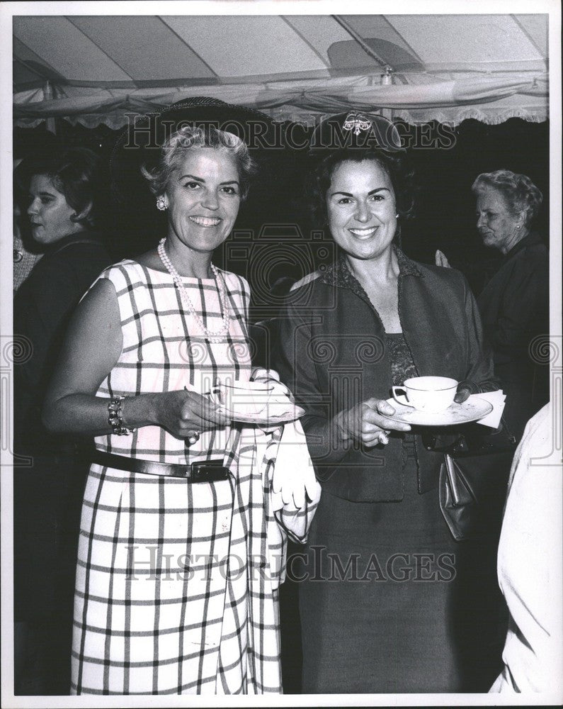 1968 Press Photo Mrs. Roy A. Fruehauf - Historic Images