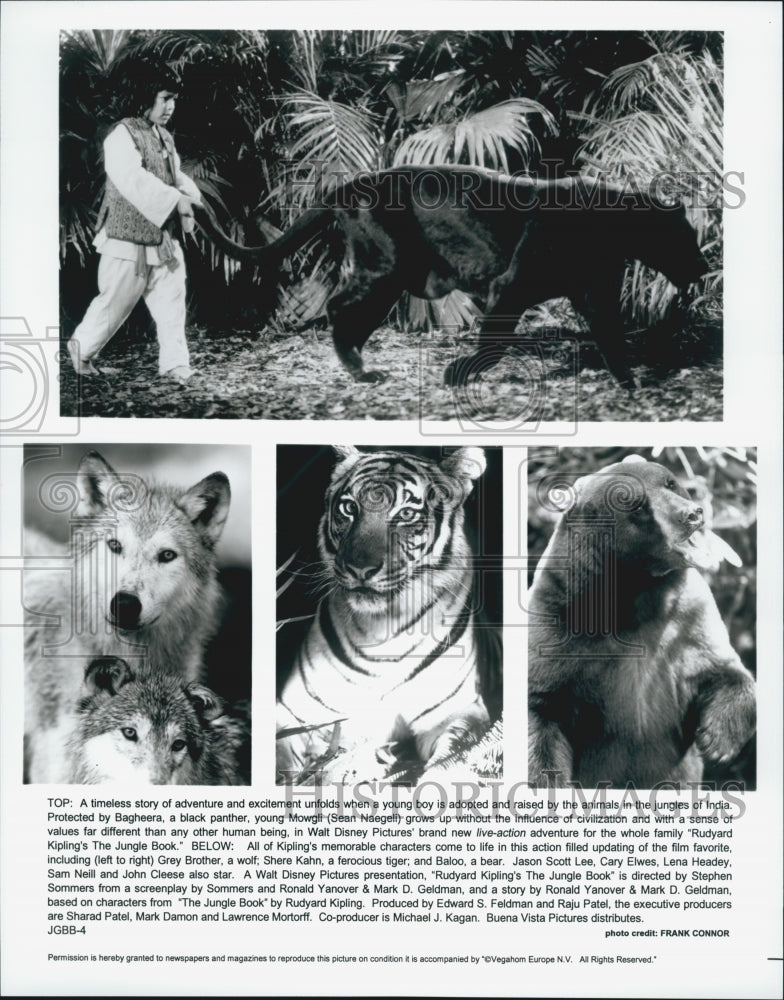 1994 Press Photo Actor Sean Naegeli And Animals In Disney Film &quot;Jungle Book&#39; - Historic Images