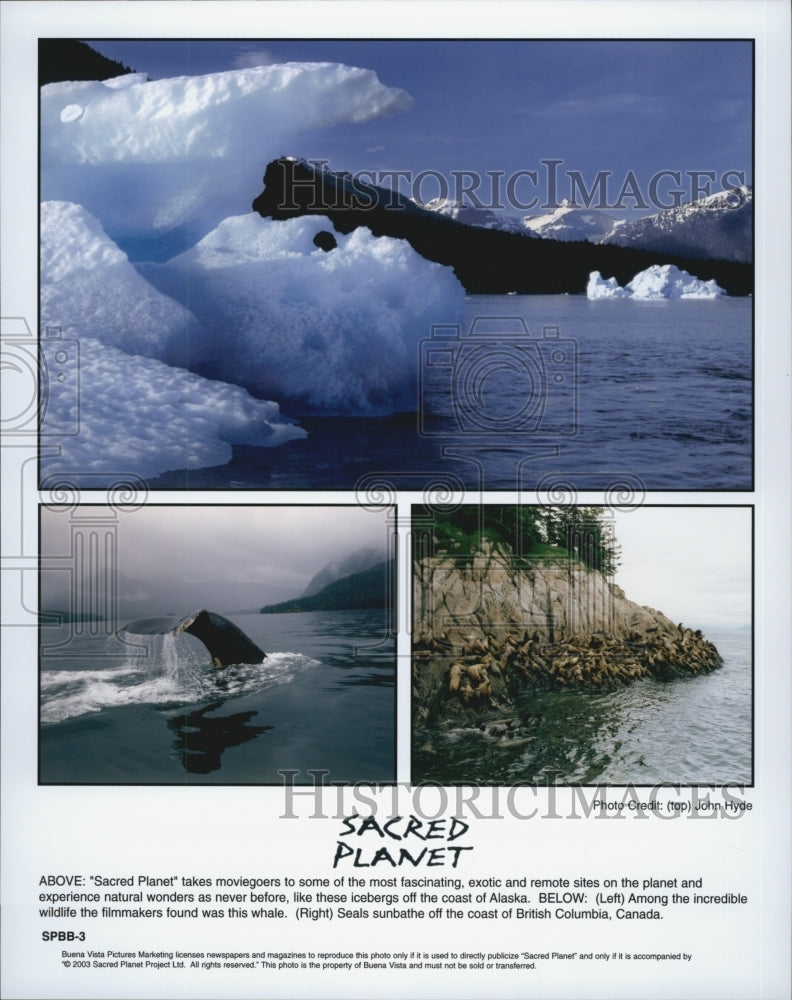 2003 Press Photo &quot;Sacred Planet&quot; Thailand Nature Documentary - Historic Images