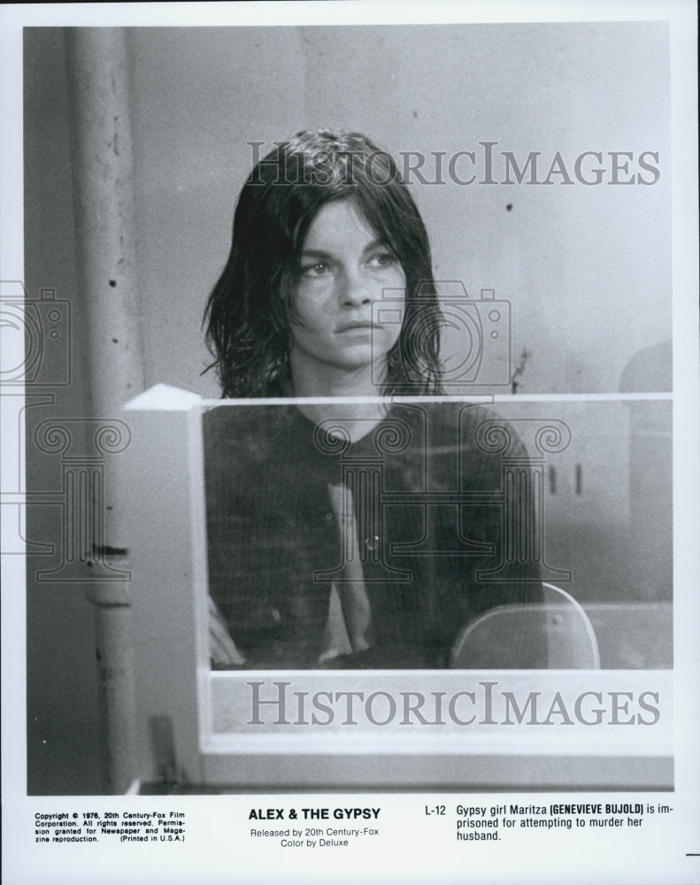 1976 Press Photo Genevieve Bujold Stars In Alex & The Gypsy - Historic Images