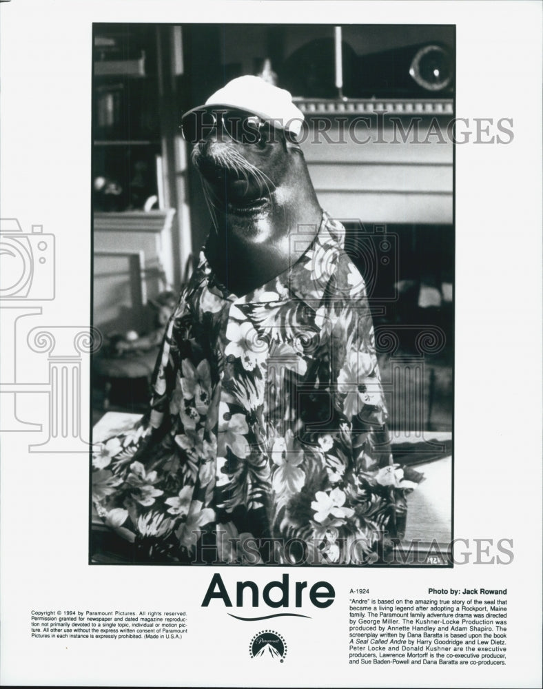 1994 Press Photo Adorable Seal in &quot;Andre&quot; Film - Historic Images