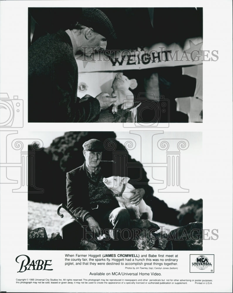 1995 Press Photo Actor James Cromwell Starring In Drama Film "Babe" And Babe - Historic Images