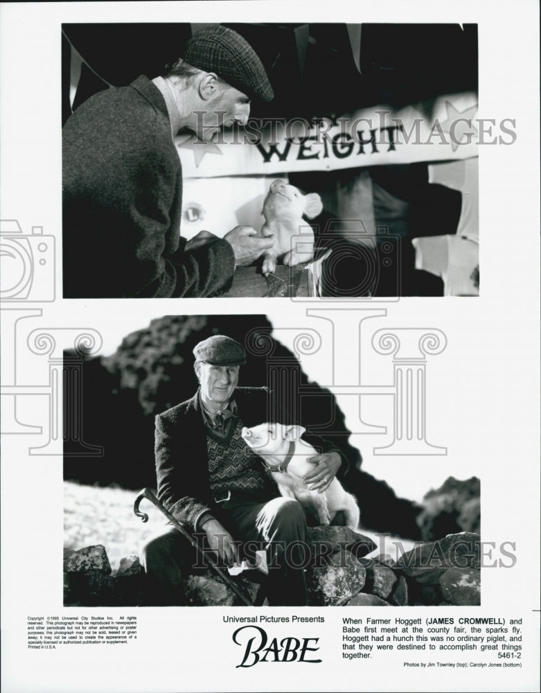 1995 Press Photo Actor James Cromwell Starring In Comedy Drama Film "Babe" - Historic Images