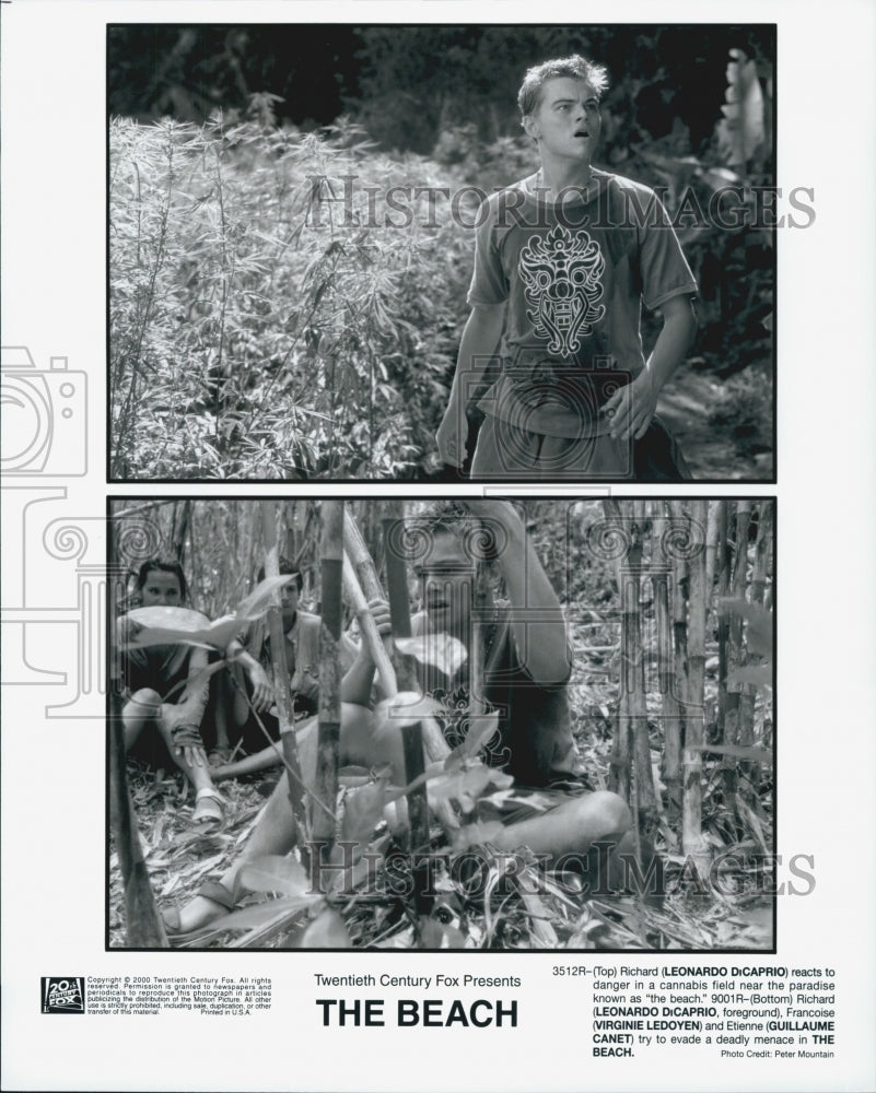 2000 Press Photo  &quot;The Beach&quot; Leonardo DiCaprio,Virginie Ledoyen,G Canet - Historic Images