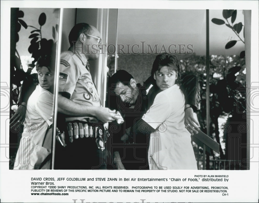 2000 Press Photo &quot;Chain of Fools&quot; David Cross, Jeff Goldblum,Steve Zahn - Historic Images