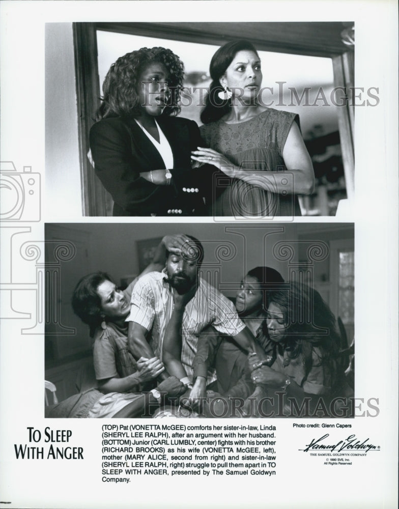 1990 Press Photo Vonetta McGee and Sheryl Lee Ralph in "To Sleep With Anger" - Historic Images