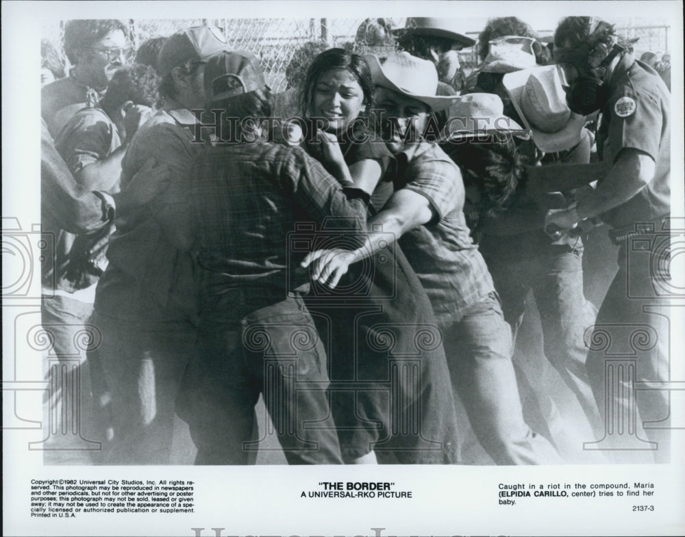 1982 Press Photo Elpidia Carillo In Movie "The Border" - Historic Images