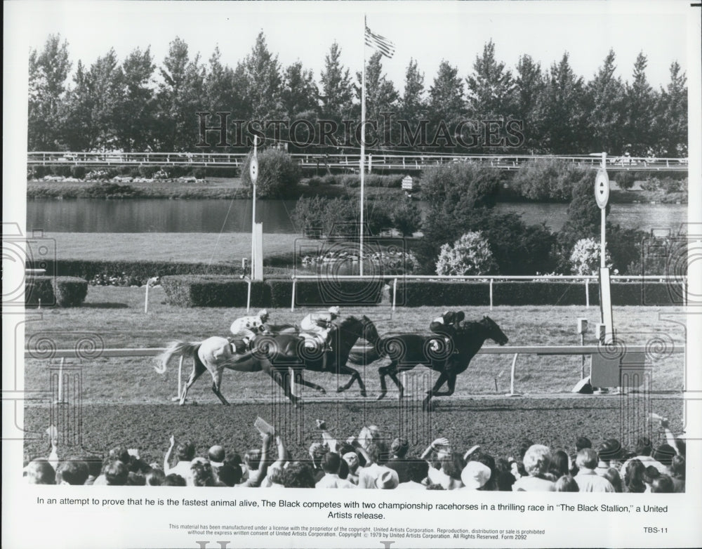 1979 Press Photo Scene from "The Black Stallion" - Historic Images
