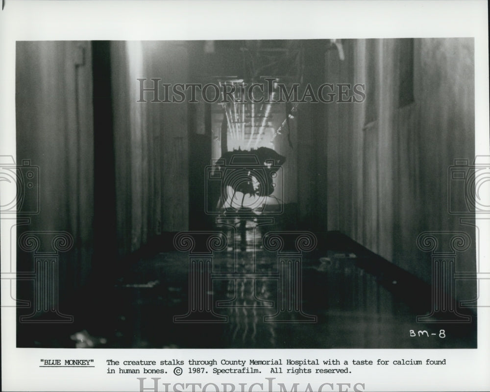 1987 Press Photo The Creature in "Blue Monkey" - Historic Images