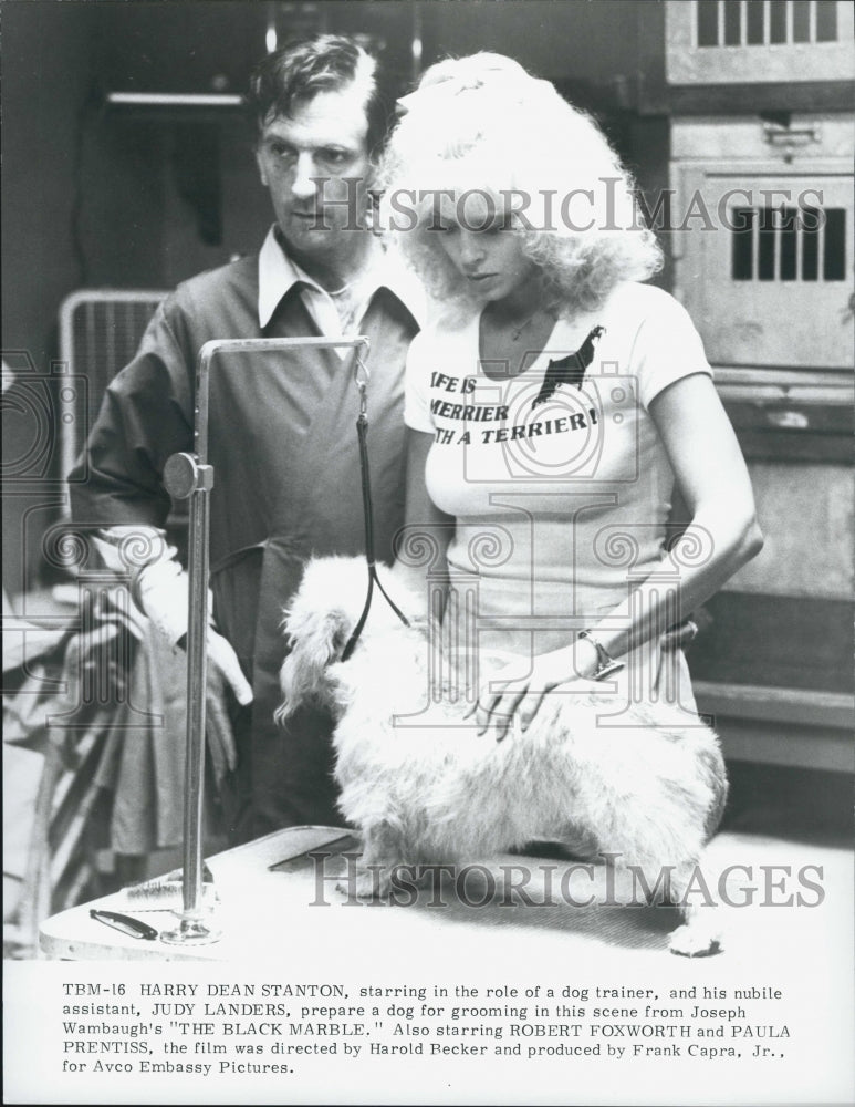 1980 Press Photo Harry Dean Stanton, Judy Landers "The Black Marble" - Historic Images