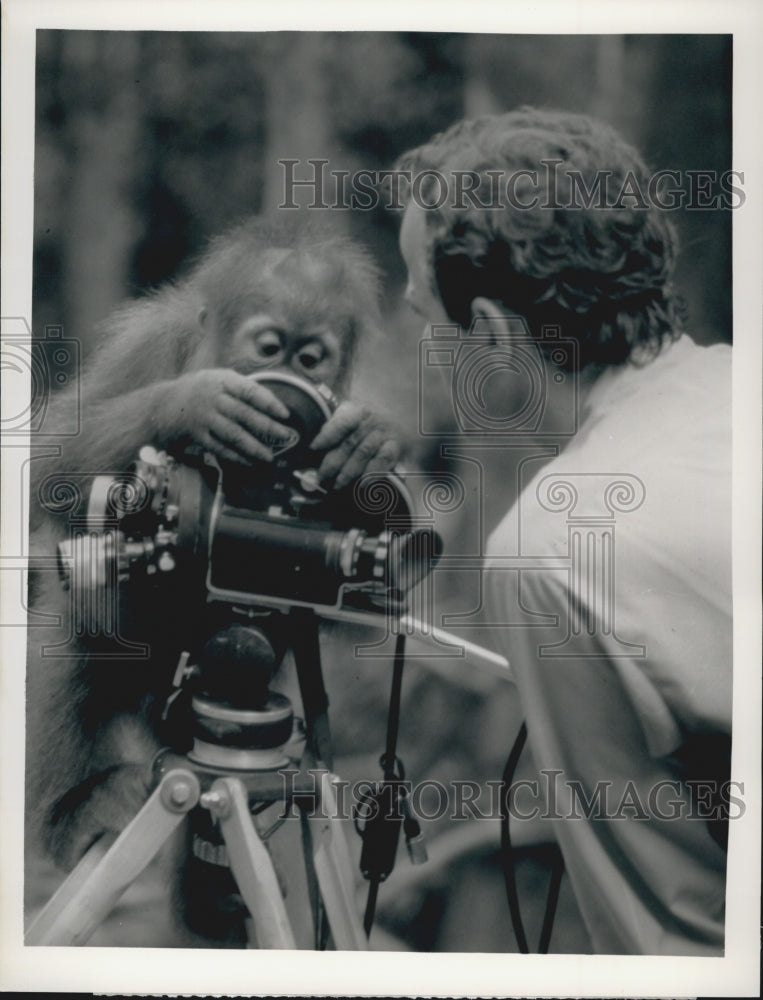 1990 Press Photo  "The Most Dangerous Game"on CBS - Historic Images