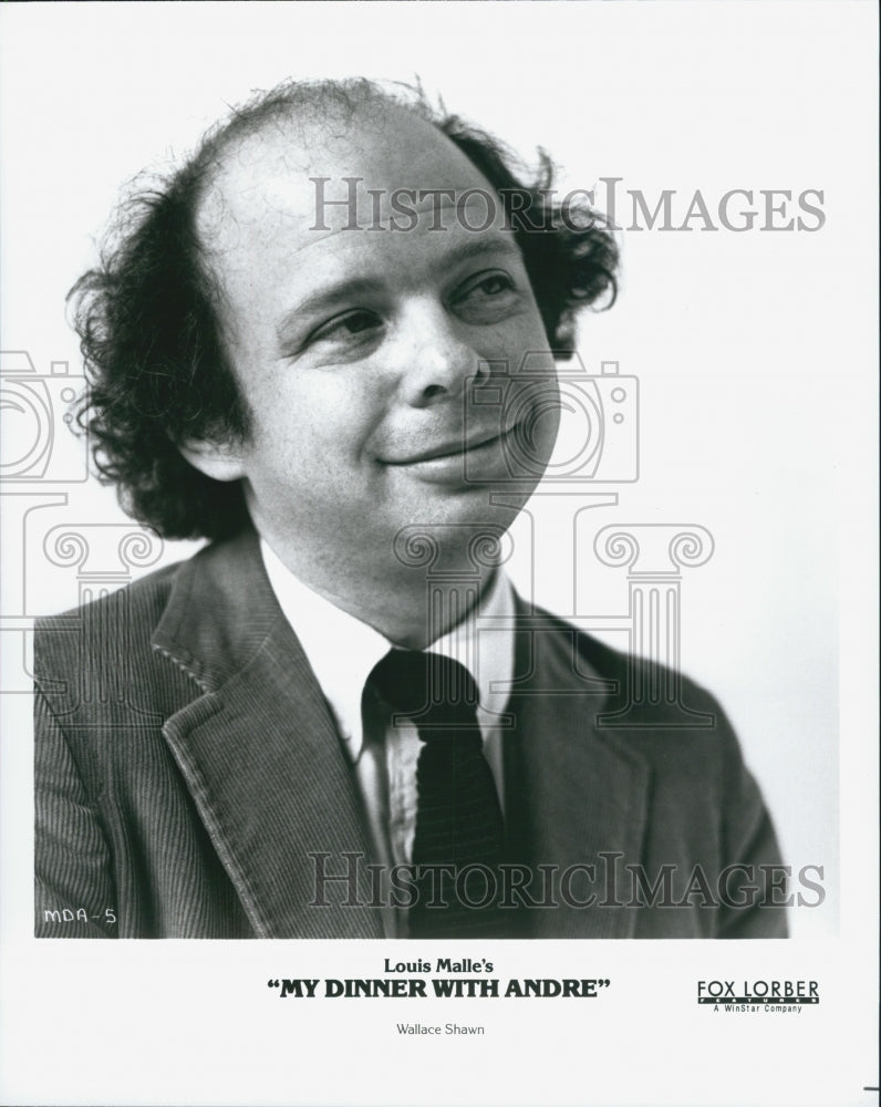 1981 Press Photo Wallace Shawn in "My Dinner With Andre" - Historic Images