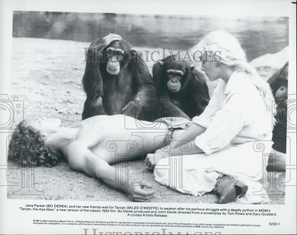 1981 Press Photo a - Historic Images