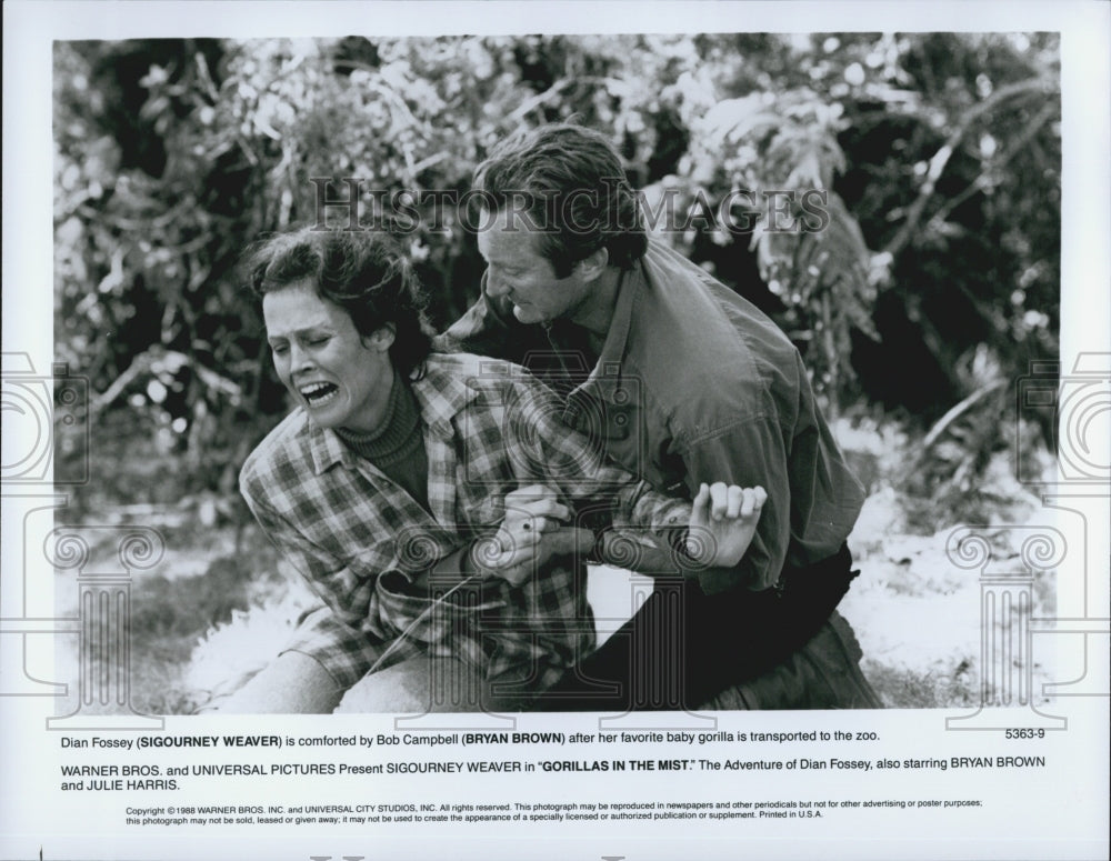 1988 Press Photo Actress Sigourney Weaver, Bryan Brown in &quot;Gorillas in the Mist&quot; - Historic Images