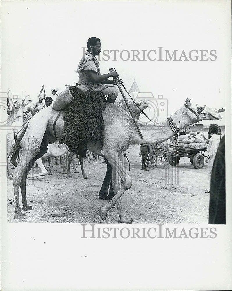 Press Photo A Black man on a Camel - Historic Images